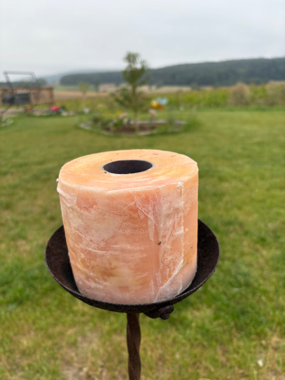 Wachsgetränkte Toilettenpapierrollen-Fackel