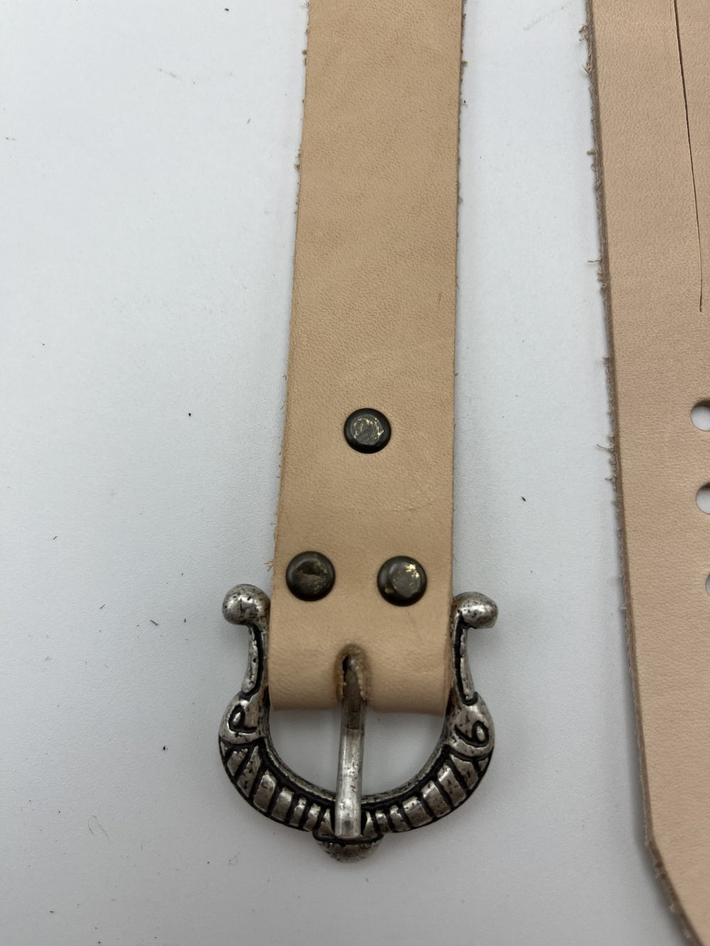 Trageriemen für Schilde