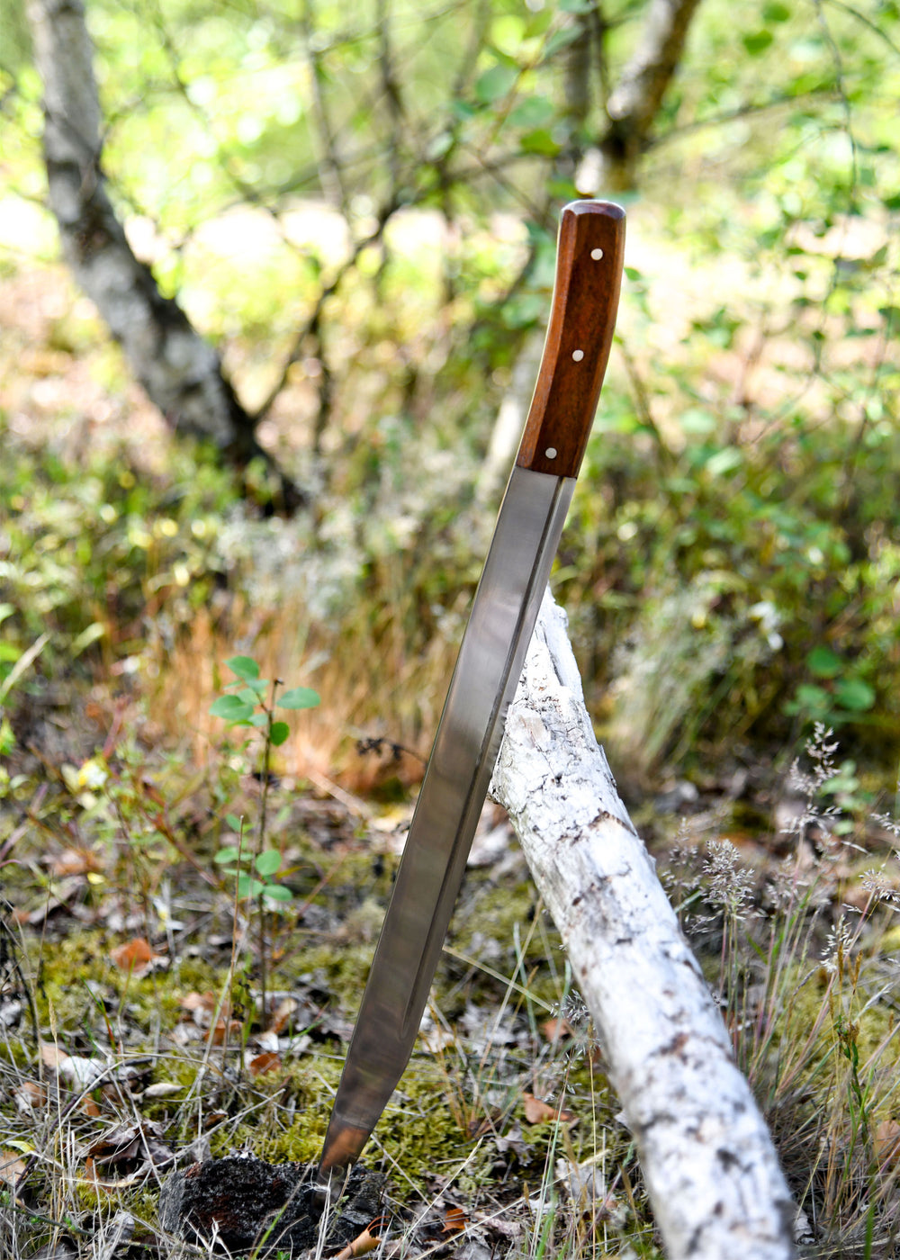 Skramasax, schaukampftauglich mit Lederscheide