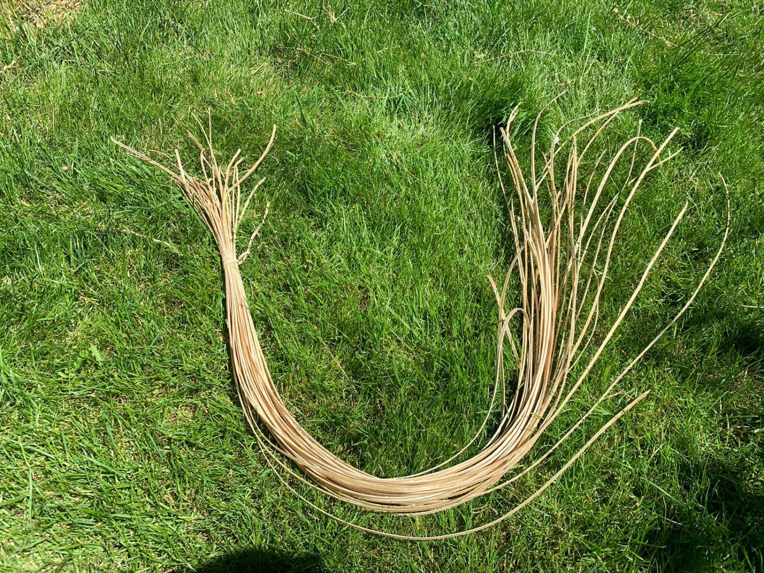 Rohhautfaden 4mm mindestens 100 cm lang
