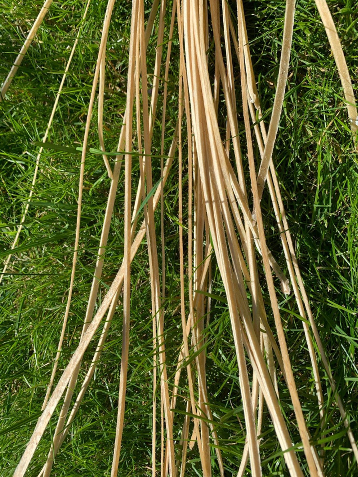 Rohhautfaden 4mm mindestens 100 cm lang