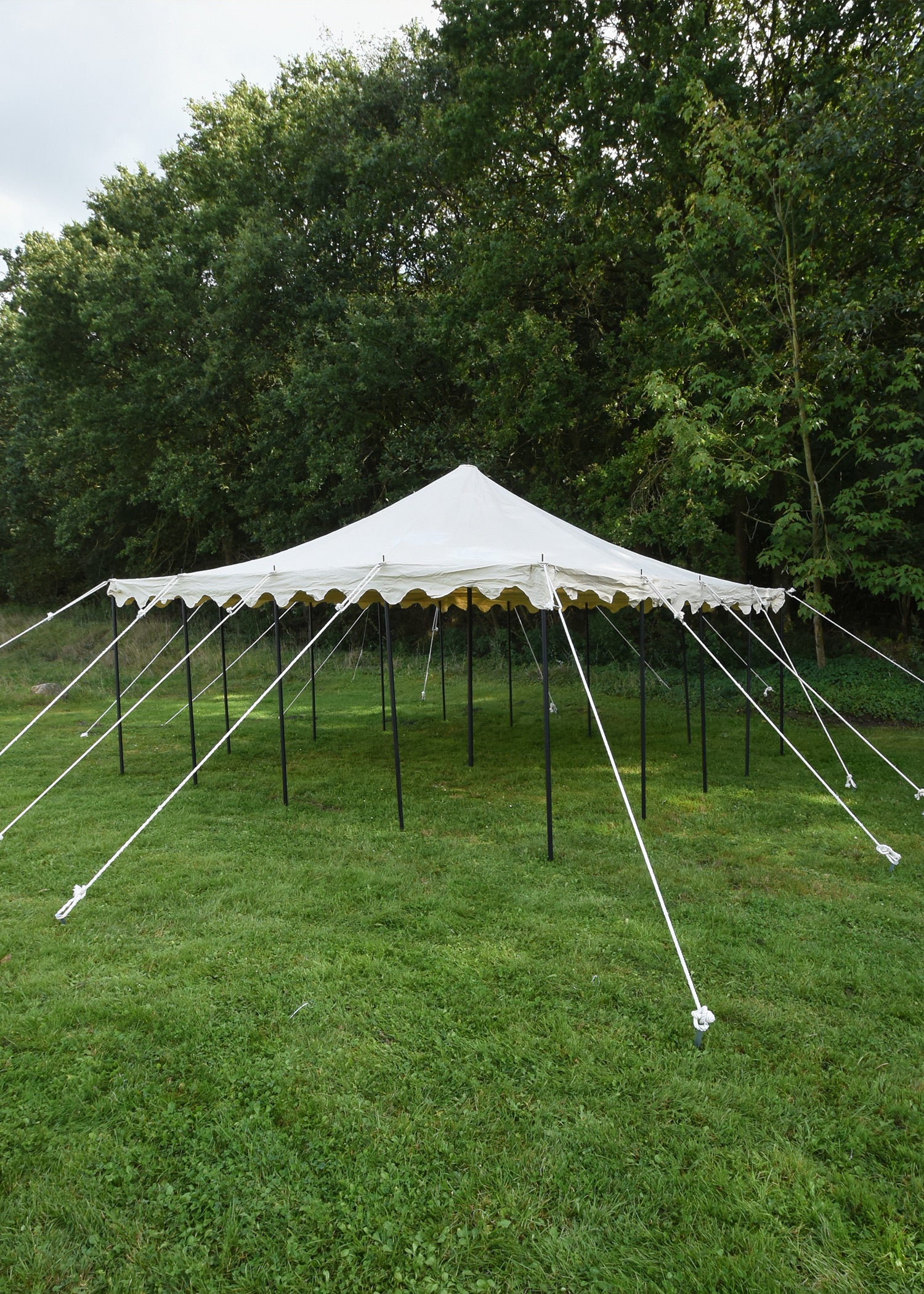 Ritterzelt Herold, 6 x 6 m, 425 gsm, naturfarben