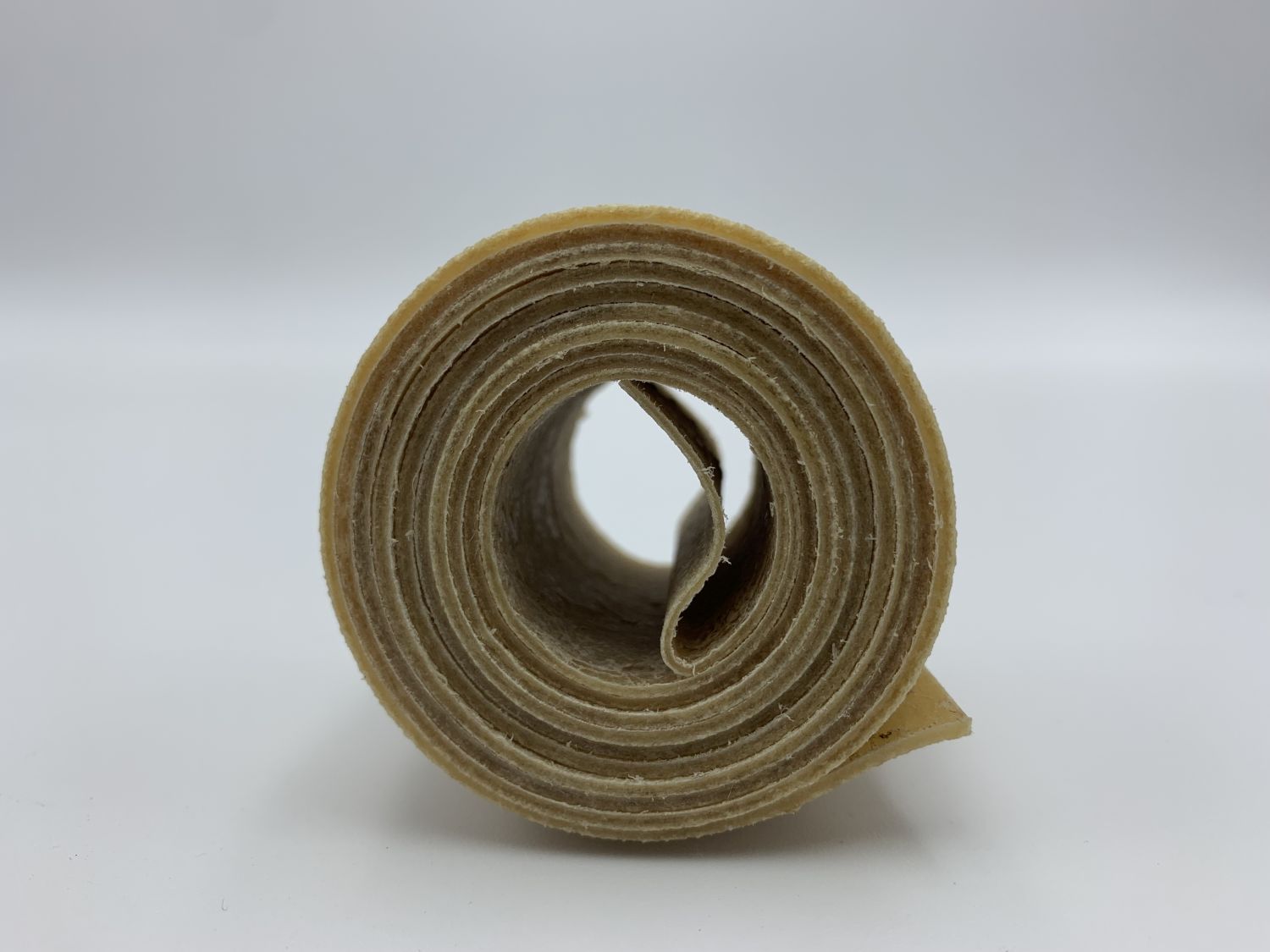 Rohhautstreifen für Schildbau – Naturrohhaut aus Deutschland